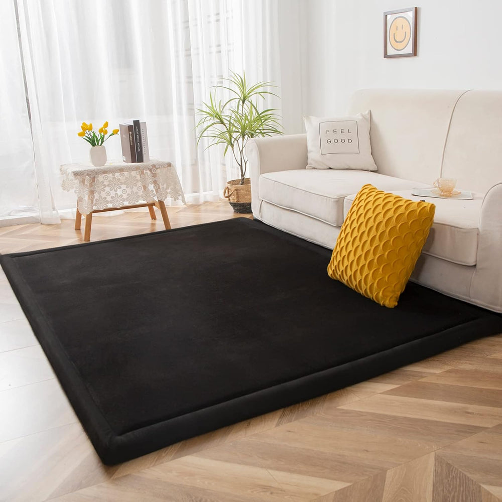 Area Rug Crawling Carpet