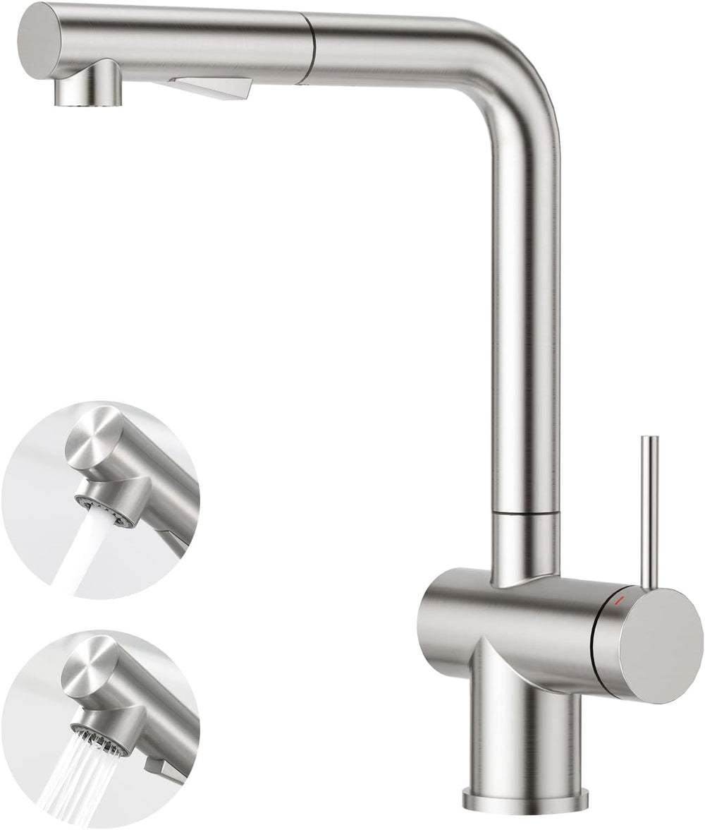 Pull Out Kitchen Sink Tap with Dual Function
