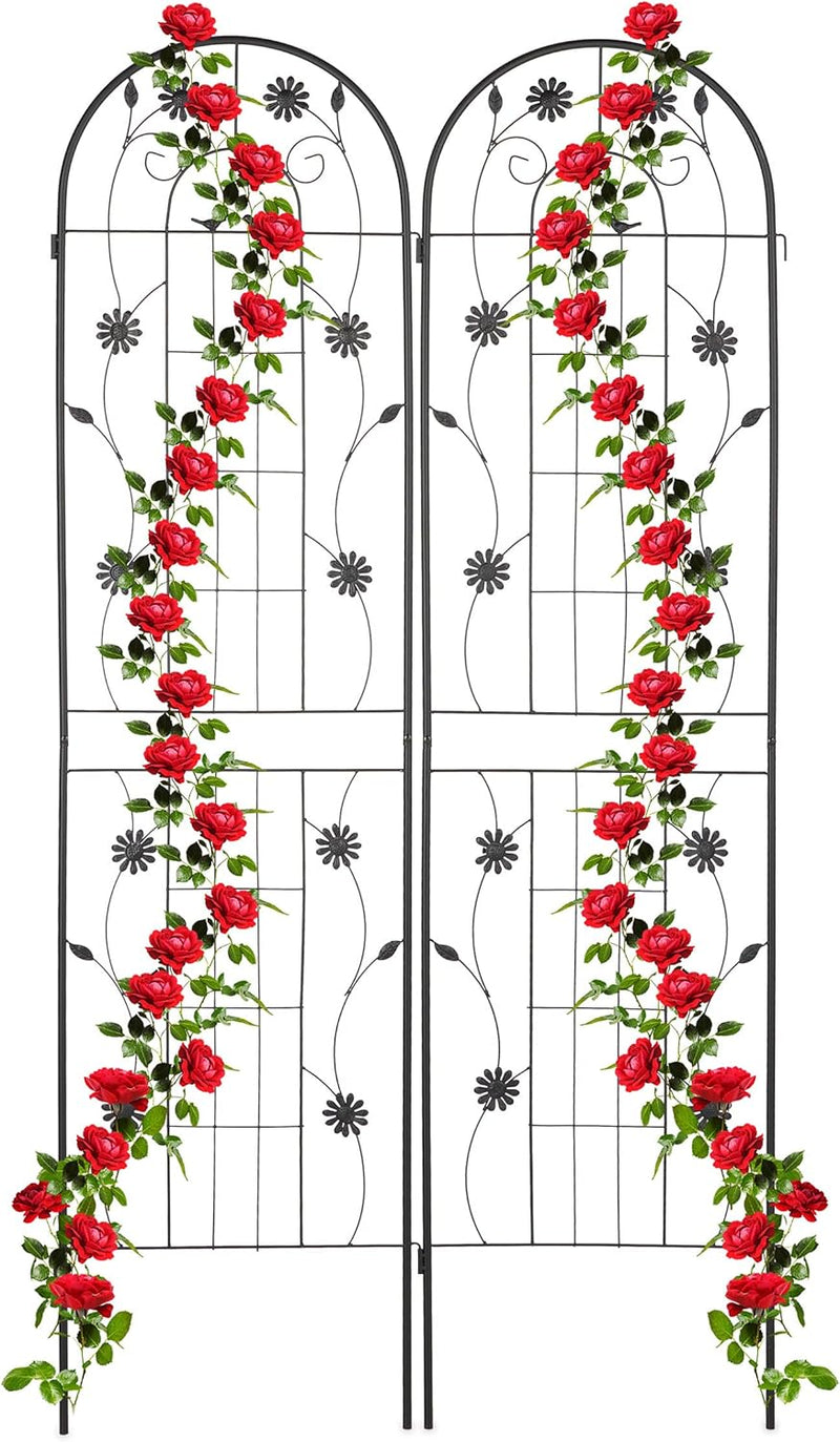 Garden Trellis Hxw 200 X 50CM Metal (Set of 2)