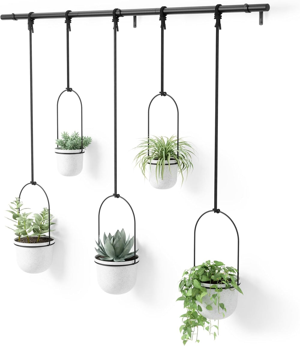 Hanging Planter Window Herb Garden (Set of 5)