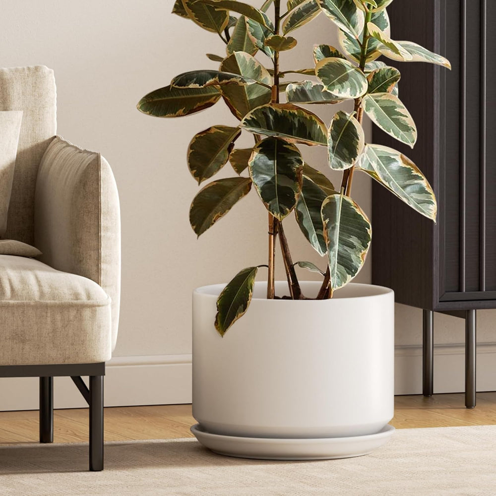 Ceramic Large Indoor Plant Pot Planter