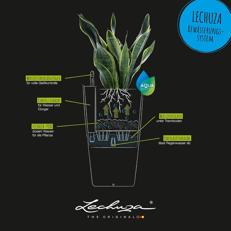 Self Watering Plant Pots Cubico Cottage
