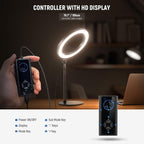 10.5" Desk Ring Light with Stands Phone Holders (2 Pack)