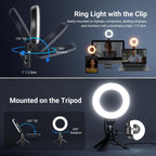 10.5" Desk Ring Light with Stands Phone Holders (2 Pack)