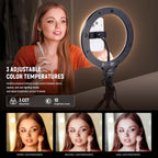 10.5" Desk Ring Light with Stands Phone Holders (2 Pack)