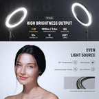 10.5" Desk Ring Light with Stands Phone Holders (2 Pack)