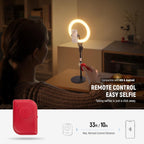10.5" Desk Ring Light with Stands Phone Holders (2 Pack)