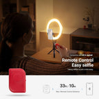 10.5" Desk Ring Light with Stands Phone Holders (2 Pack)
