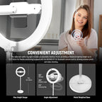10.5" Desk Ring Light with Stands Phone Holders (2 Pack)