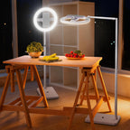 10.5" Desk Ring Light with Stands Phone Holders (2 Pack)