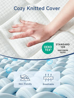 10.6 Inch Mattress Medium Firm Hybrid with Memory