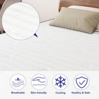 10 Inch Mattresses 7-Zone Hybrid Bed Memory Foam
