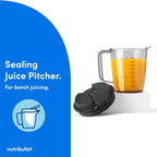 1000W Juicer Pro Large 2L Pulp Basin 800ML