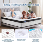 12 Inch Mattresses for Back Pain Relief Hybrid