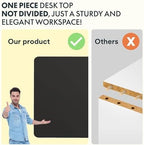 120 X 60CM Electric Standing Desk One Piece