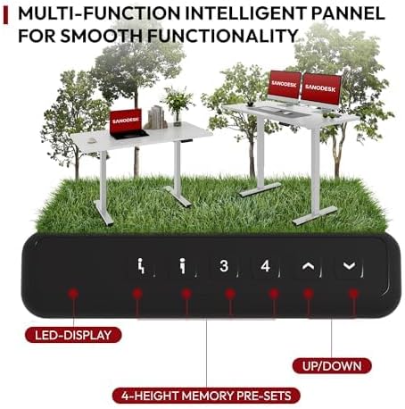 120 X 60CM Electric Standing Desk One Piece