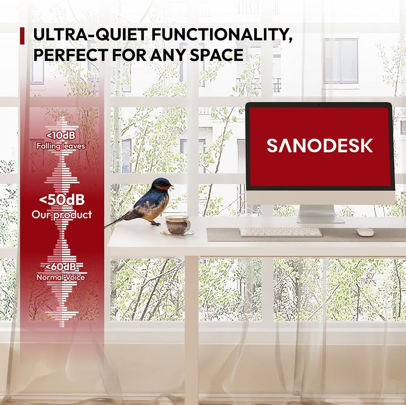120 X 60CM Electric Standing Desk One Piece