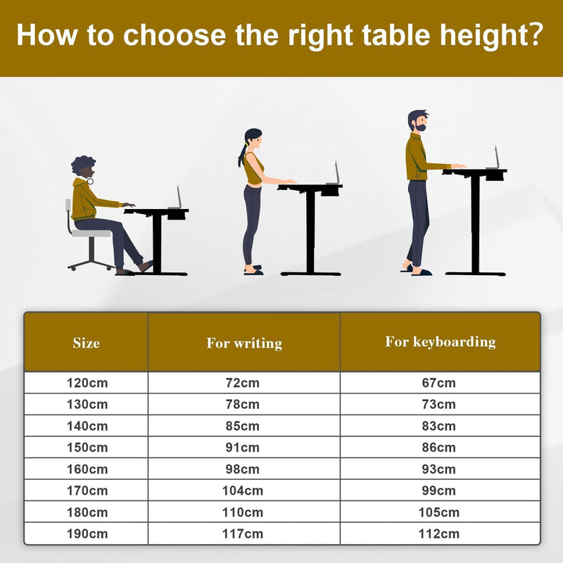 120 X 60CM Electric Standing Desk with USB