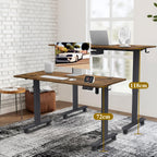 120 X 60CM Electric Standing Desk with USB