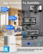 1200ML Electric Dehumidifier with Ultra Quiet Auto Shut