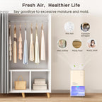 1200ML Electric Dehumidifier with Ultra Quiet Auto Shut