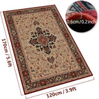 Area Rugs for Living Room Kitchen Carpet