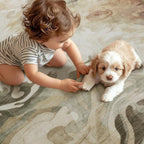 Area Rugs for Living Room Kitchen Carpet
