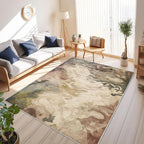 Area Rugs for Living Room Kitchen Carpet