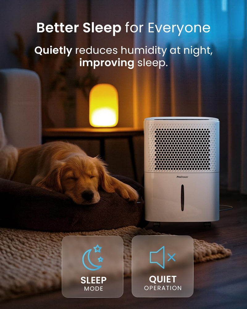 12L Day Dehumidifier with Automatic Humidity Sensor Display