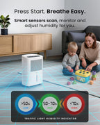 12L Day Dehumidifier with Automatic Humidity Sensor Display