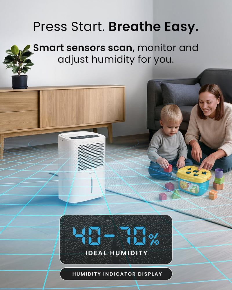 12L Day Dehumidifier with Automatic Humidity Sensor Display