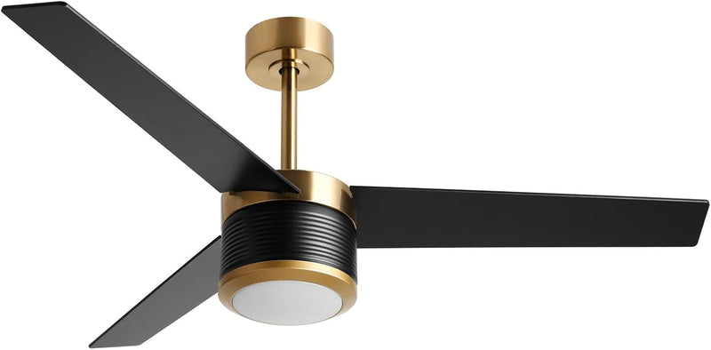 132CM Ceiling Fan with Lights and Remote Control