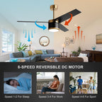 132CM Ceiling Fan with Lights and Remote Control