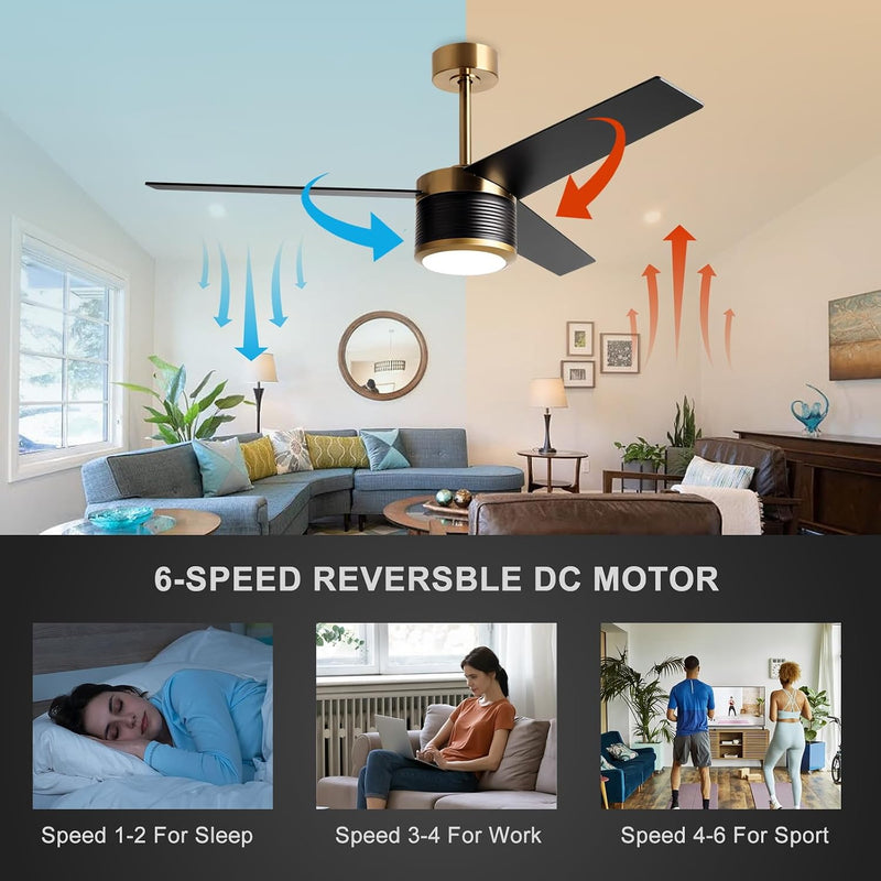 132CM Ceiling Fan with Lights and Remote Control