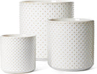 Raised-dot Arctic White