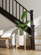 15+20+25CM Plant Pots Set Ceramic Planters