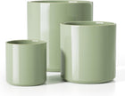 Sage Green