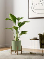 15+20+25CM Plant Pots Set Ceramic Planters