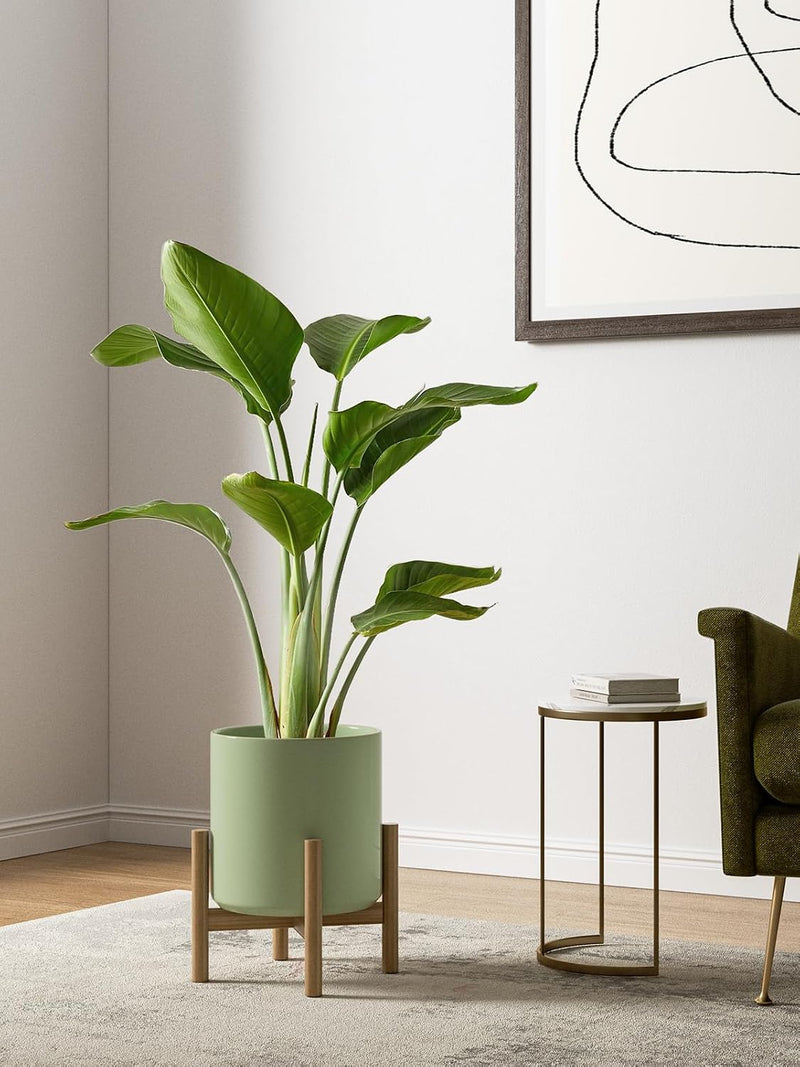 15+20+25CM Plant Pots Set Ceramic Planters