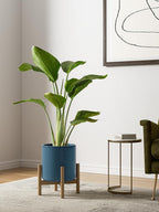 15+20+25CM Plant Pots Set Ceramic Planters