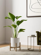 15+20+25CM Plant Pots Set Ceramic Planters
