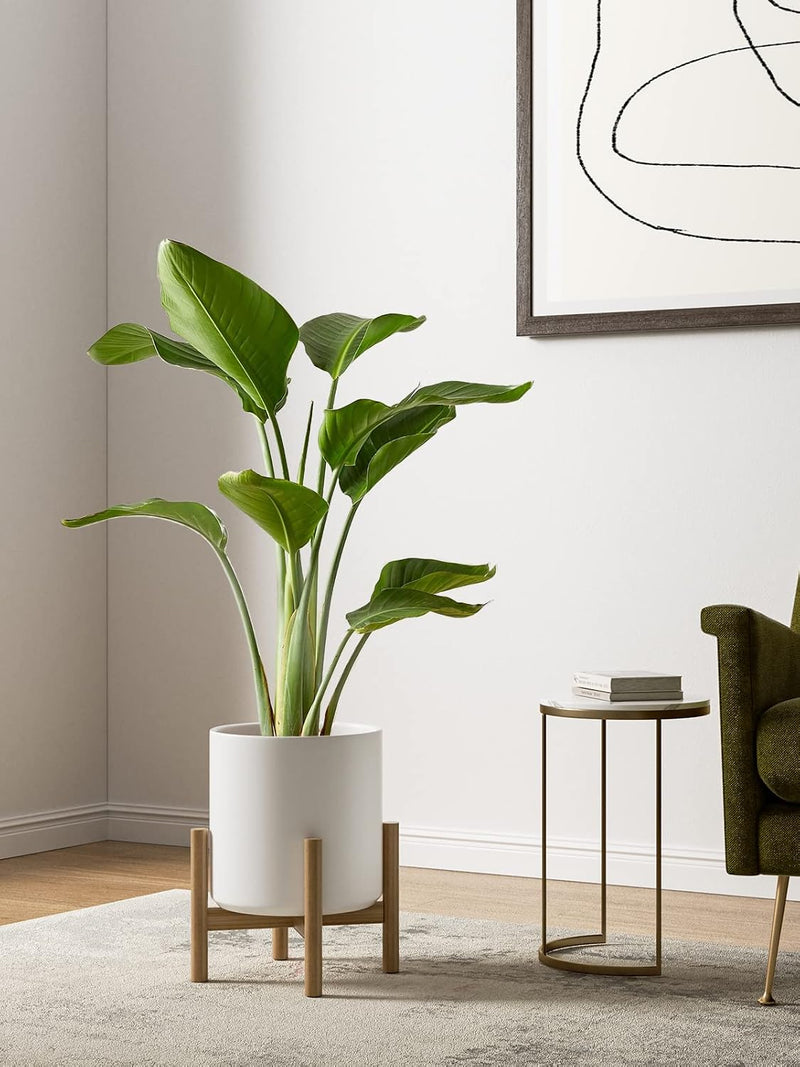 15+20+25CM Plant Pots Set Ceramic Planters