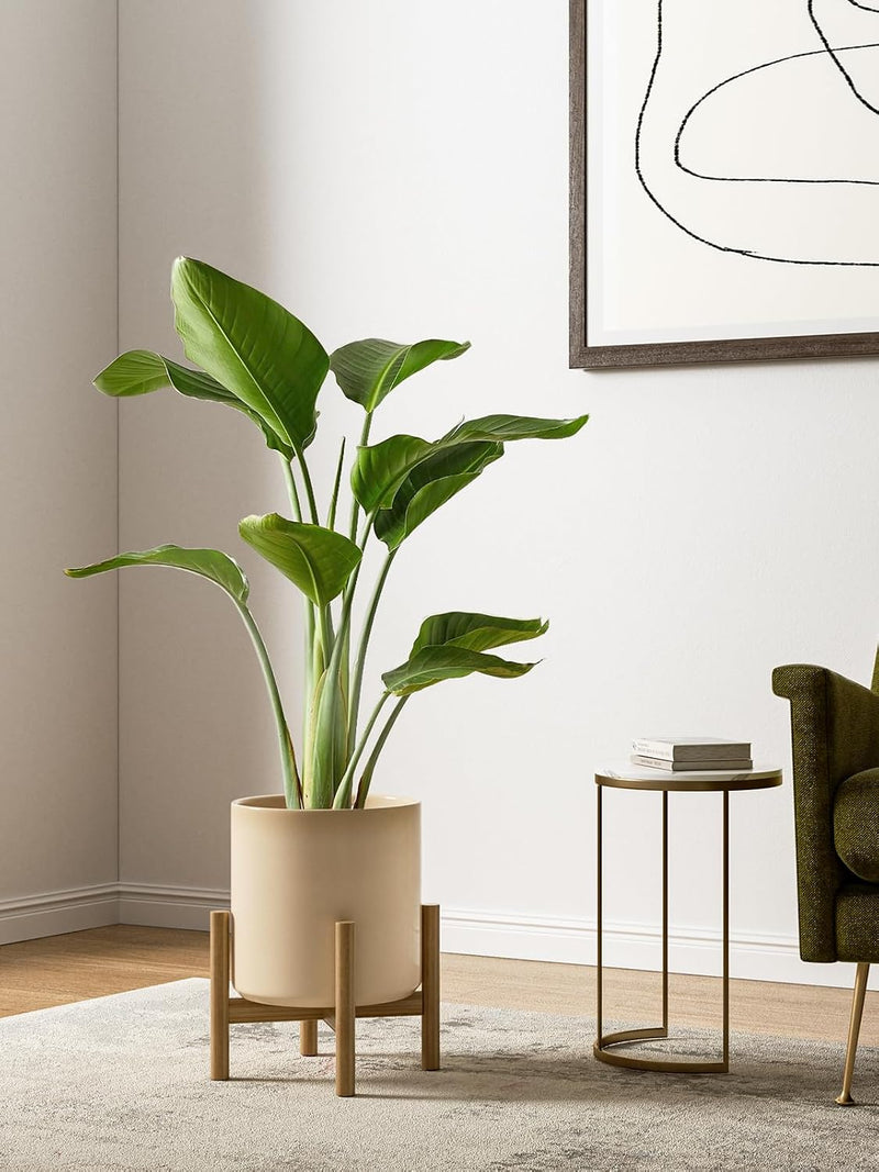 15+20+25CM Plant Pots Set Ceramic Planters