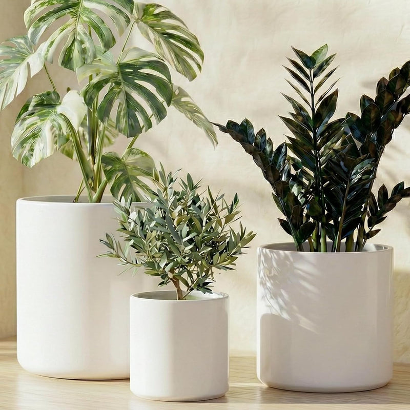 15+20+25CM Plant Pots Set Ceramic Planters