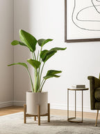 15+20+25CM Plant Pots Set Ceramic Planters