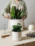 15+20+25CM Plant Pots Set Ceramic Planters