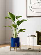 15+20+25CM Plant Pots Set Ceramic Planters
