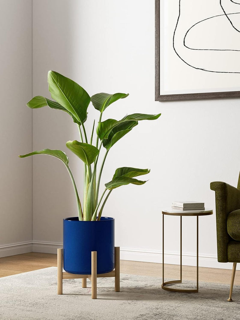 15+20+25CM Plant Pots Set Ceramic Planters
