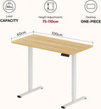 160 X 60 Electric Standing Desk Height Adjustable