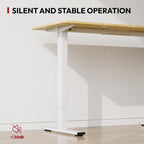 160 X 60 Electric Standing Desk Height Adjustable